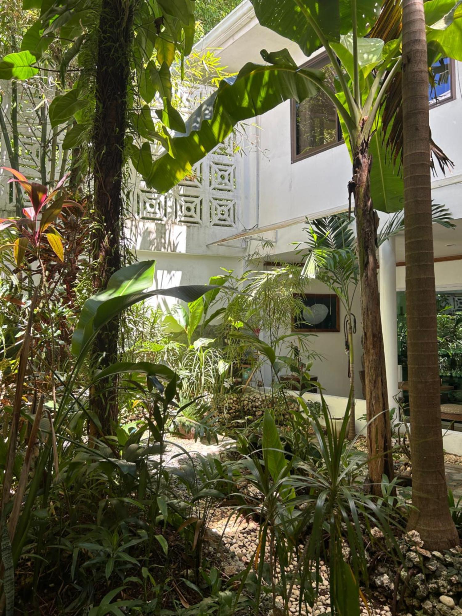 Argonauta Boracay Apartment Suites And Villas Boracay Island Exteriör bild