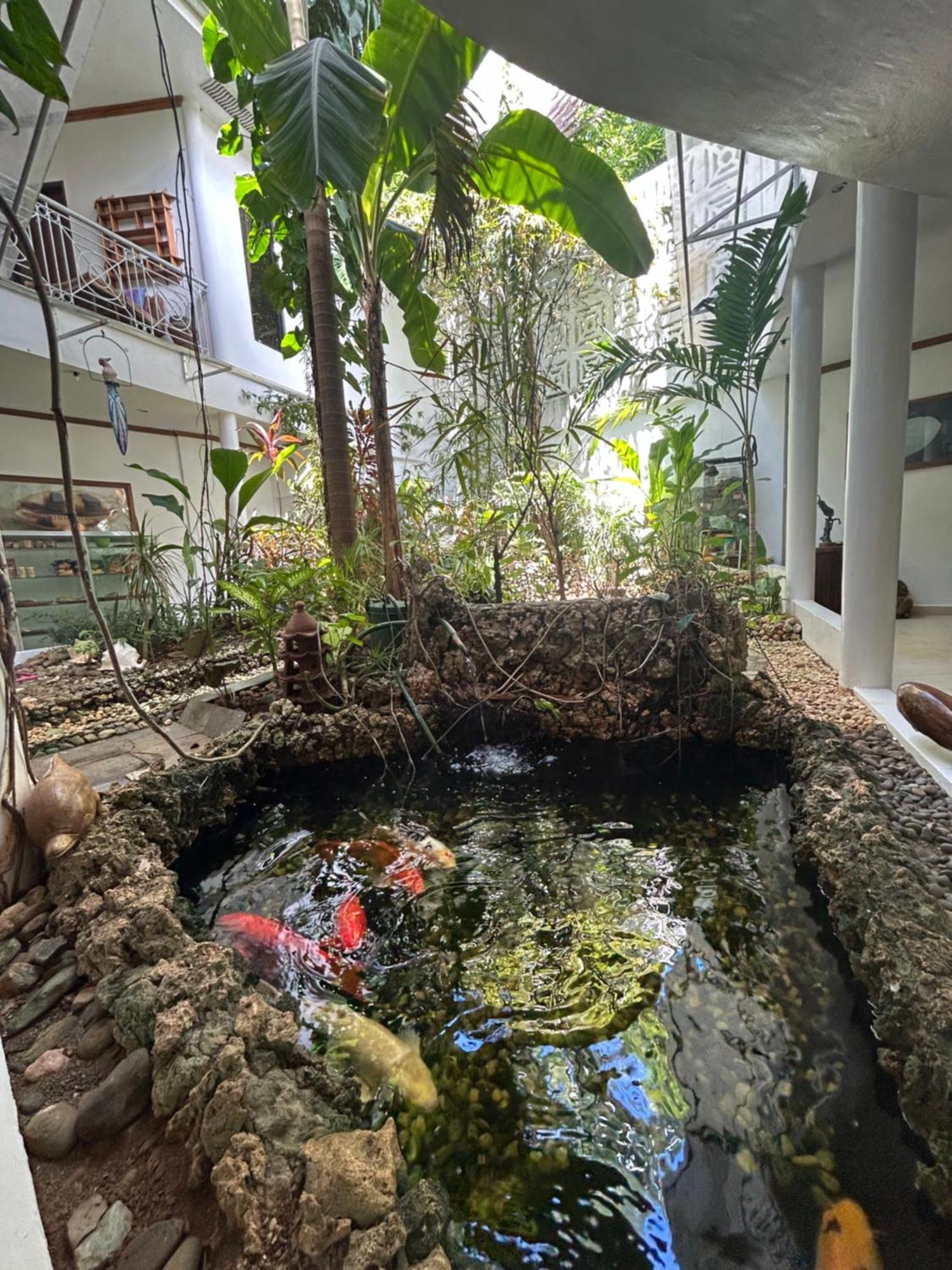 Argonauta Boracay Apartment Suites And Villas Boracay Island Exteriör bild